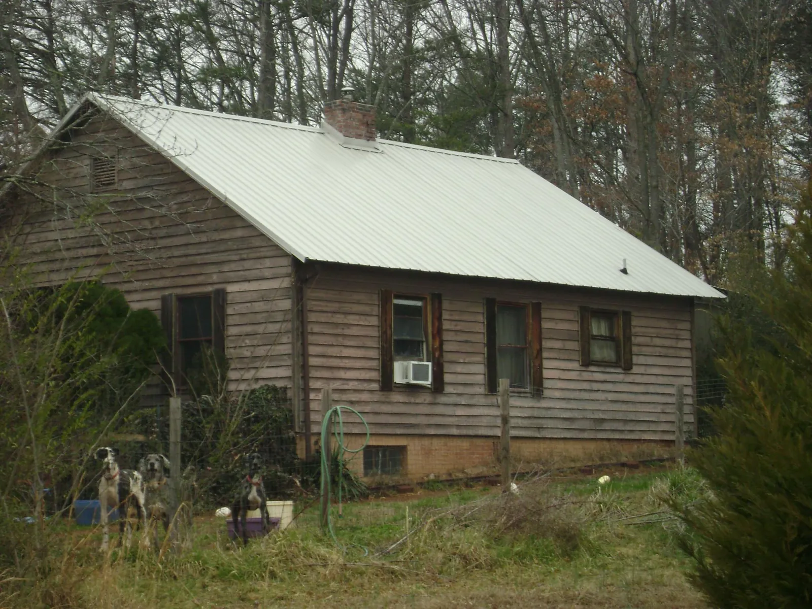 White metal roof on an old wood sided farmhouse, from a Metal Roof Installation job in Basalt